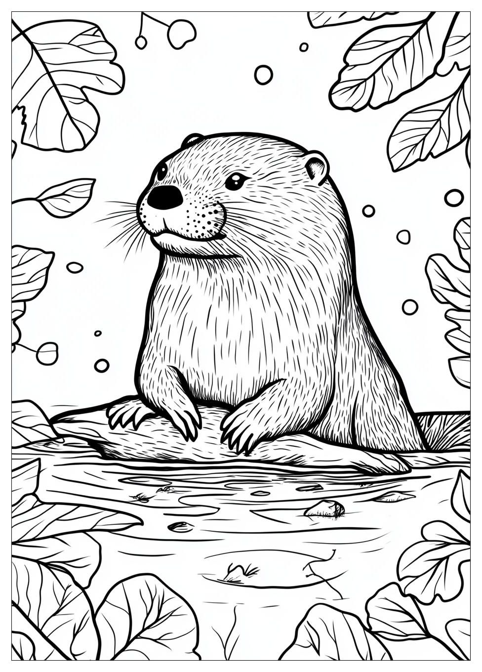 Otter Ausmalbilder 2