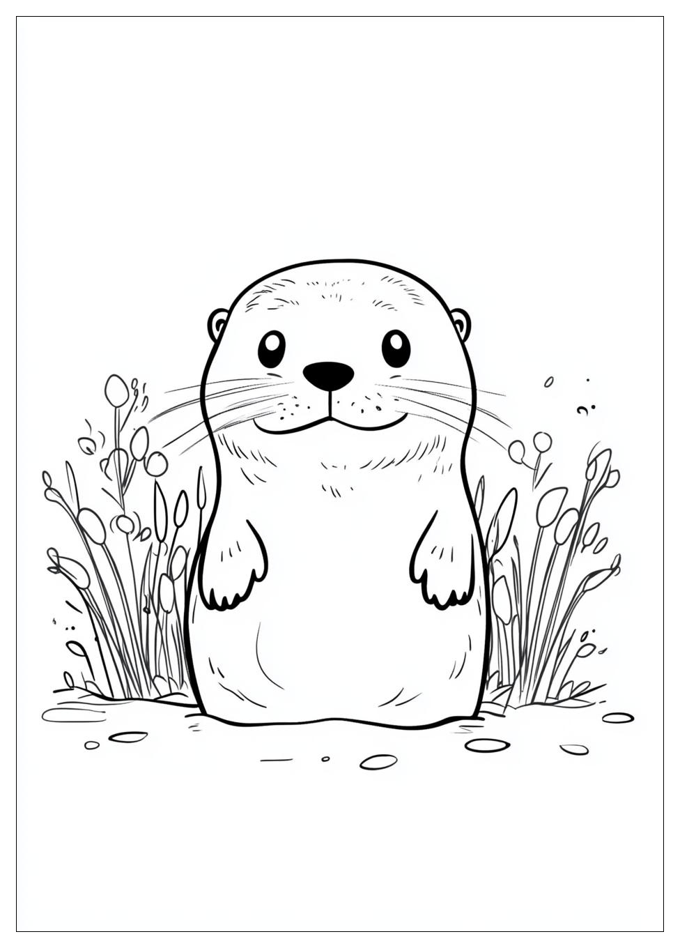 Otter Ausmalbilder 8
