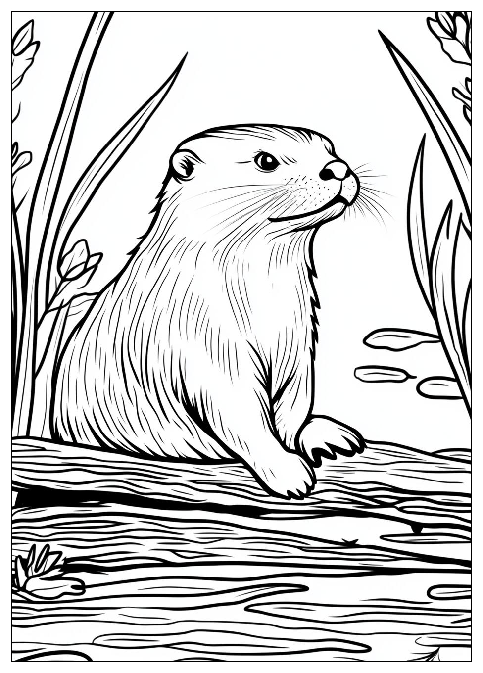 Otter Ausmalbilder 9