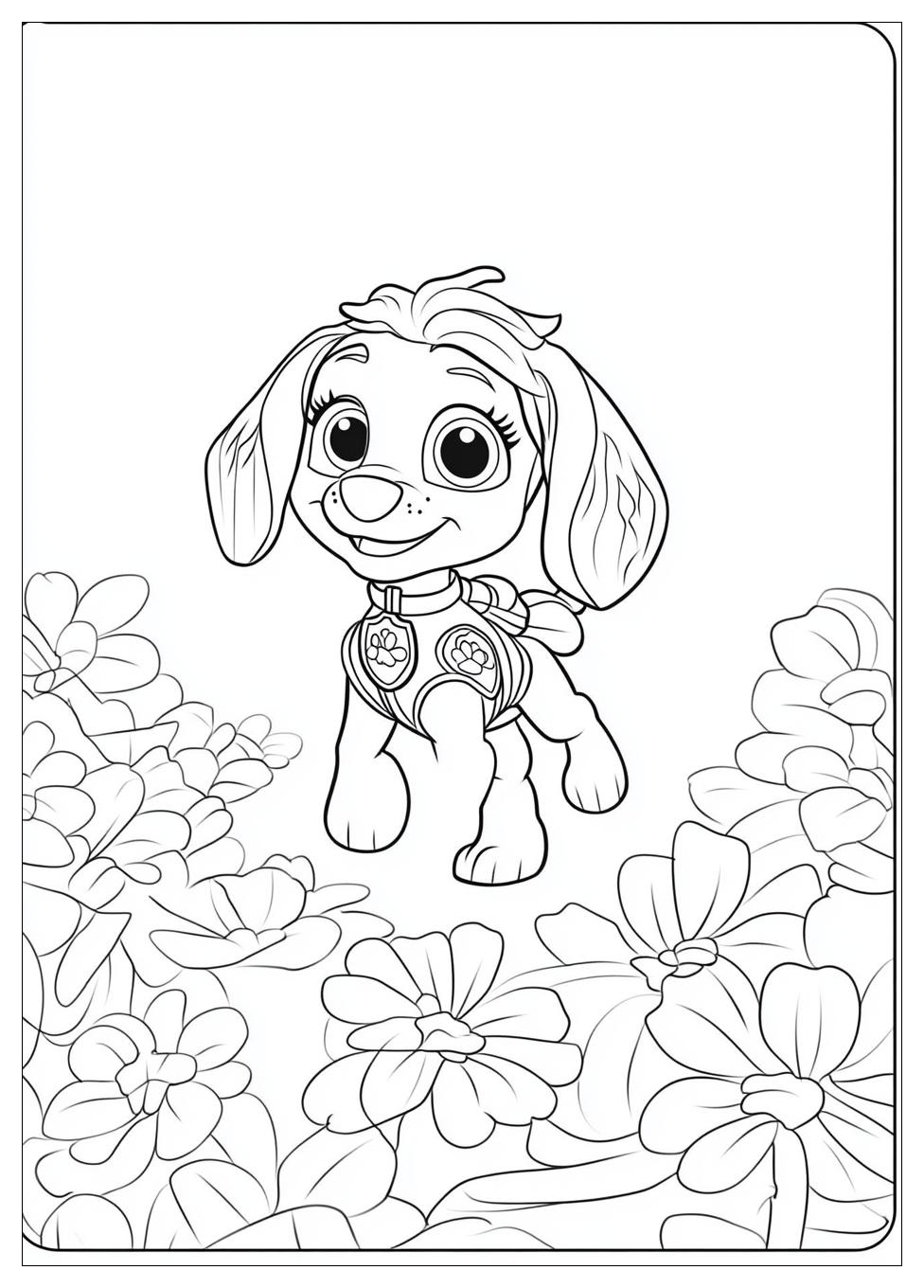 Paw Patrol Sky Ausmalbilder 16