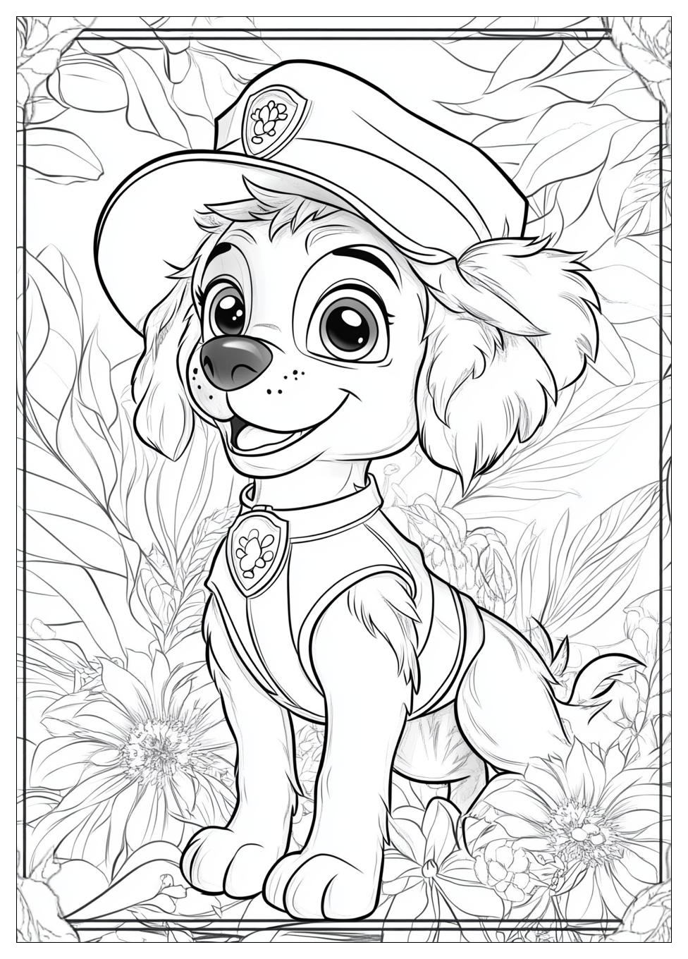 Paw Patrol Sky Ausmalbilder 22