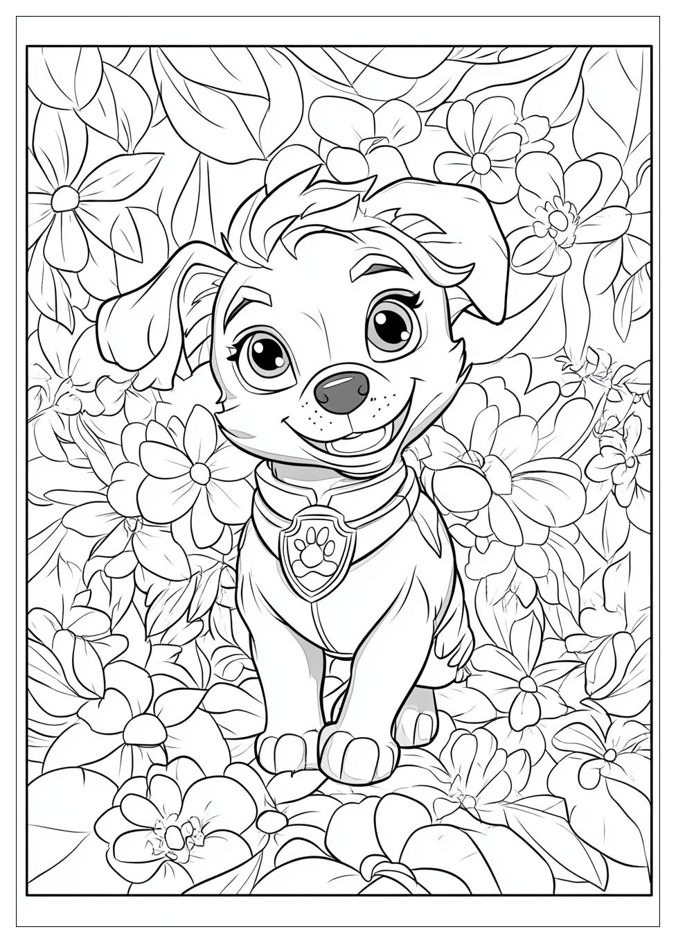 Paw Patrol Sky Ausmalbilder 24