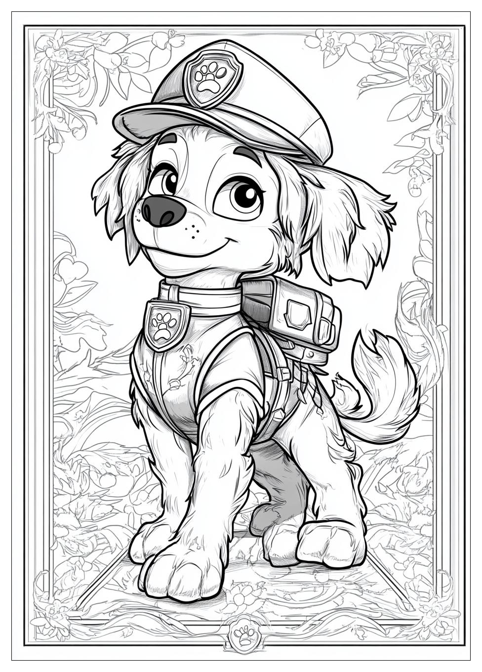 Paw Patrol Sky Ausmalbilder 8