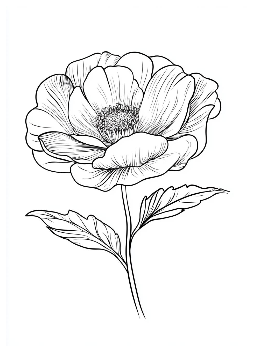 Petronella Apfelmus Ausmalbilder 1