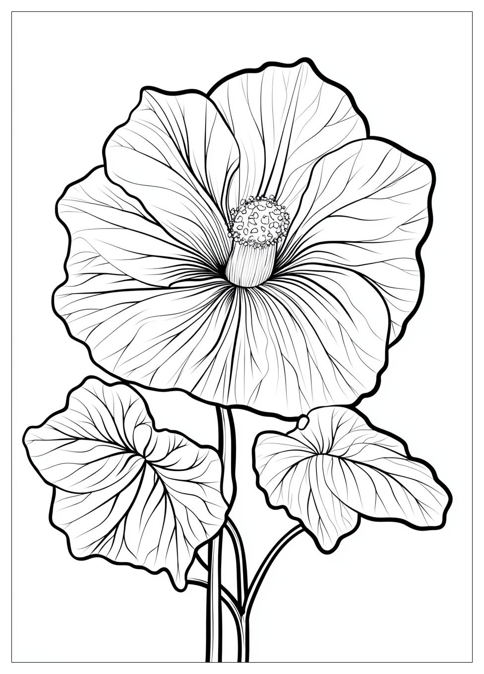 Petronella Apfelmus Ausmalbilder 10
