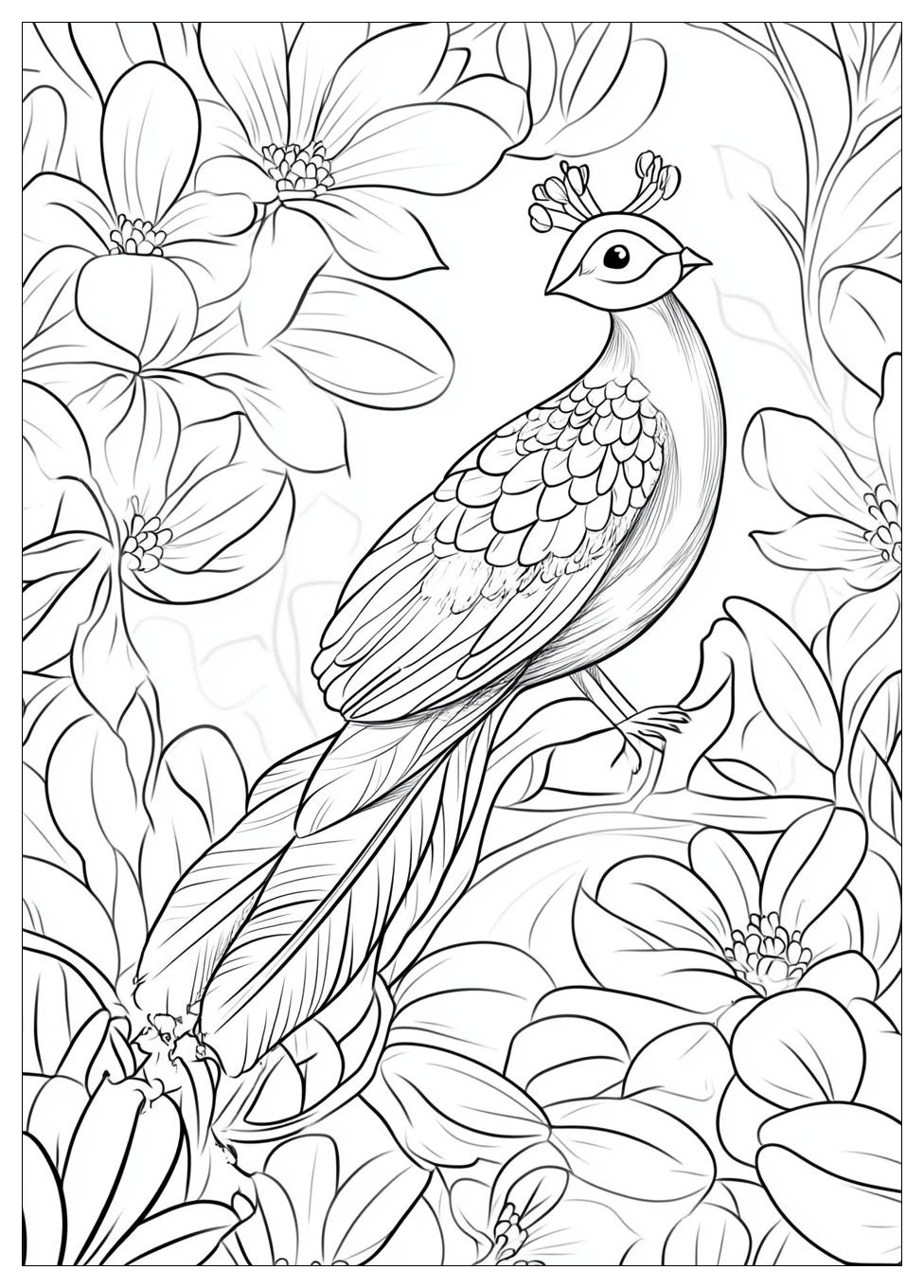 Pfau Ausmalbilder 12