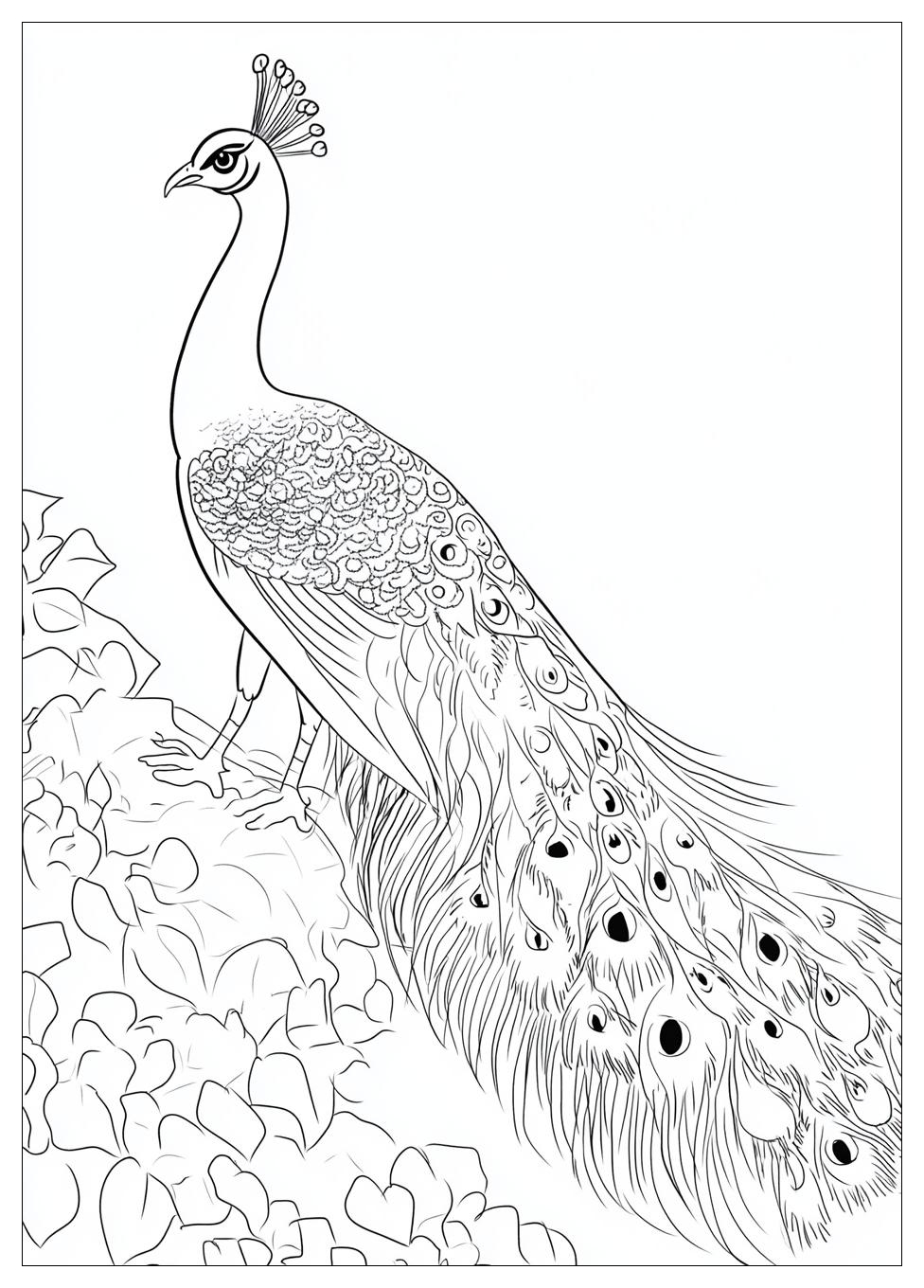 Pfau Ausmalbilder 15