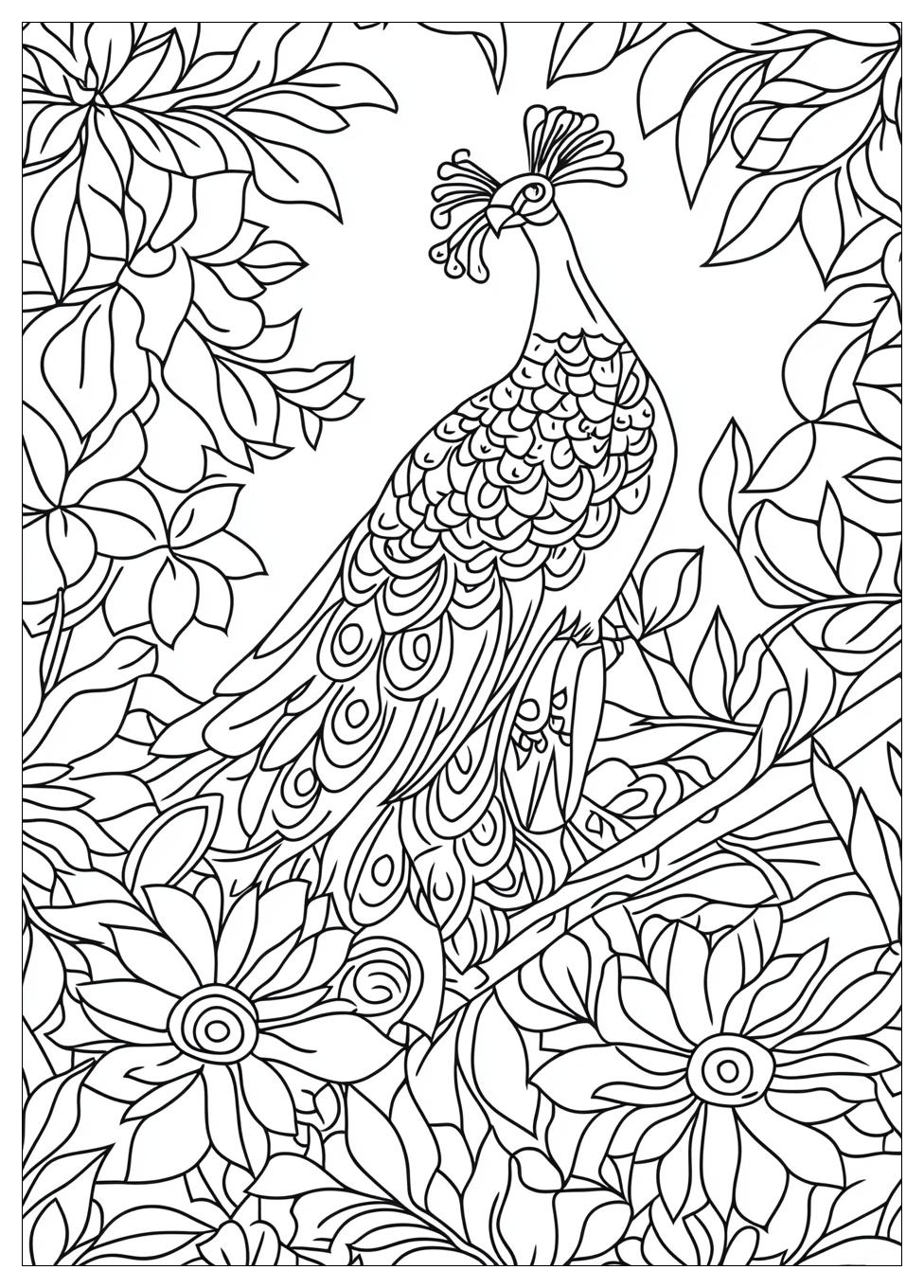 Pfau Ausmalbilder 24