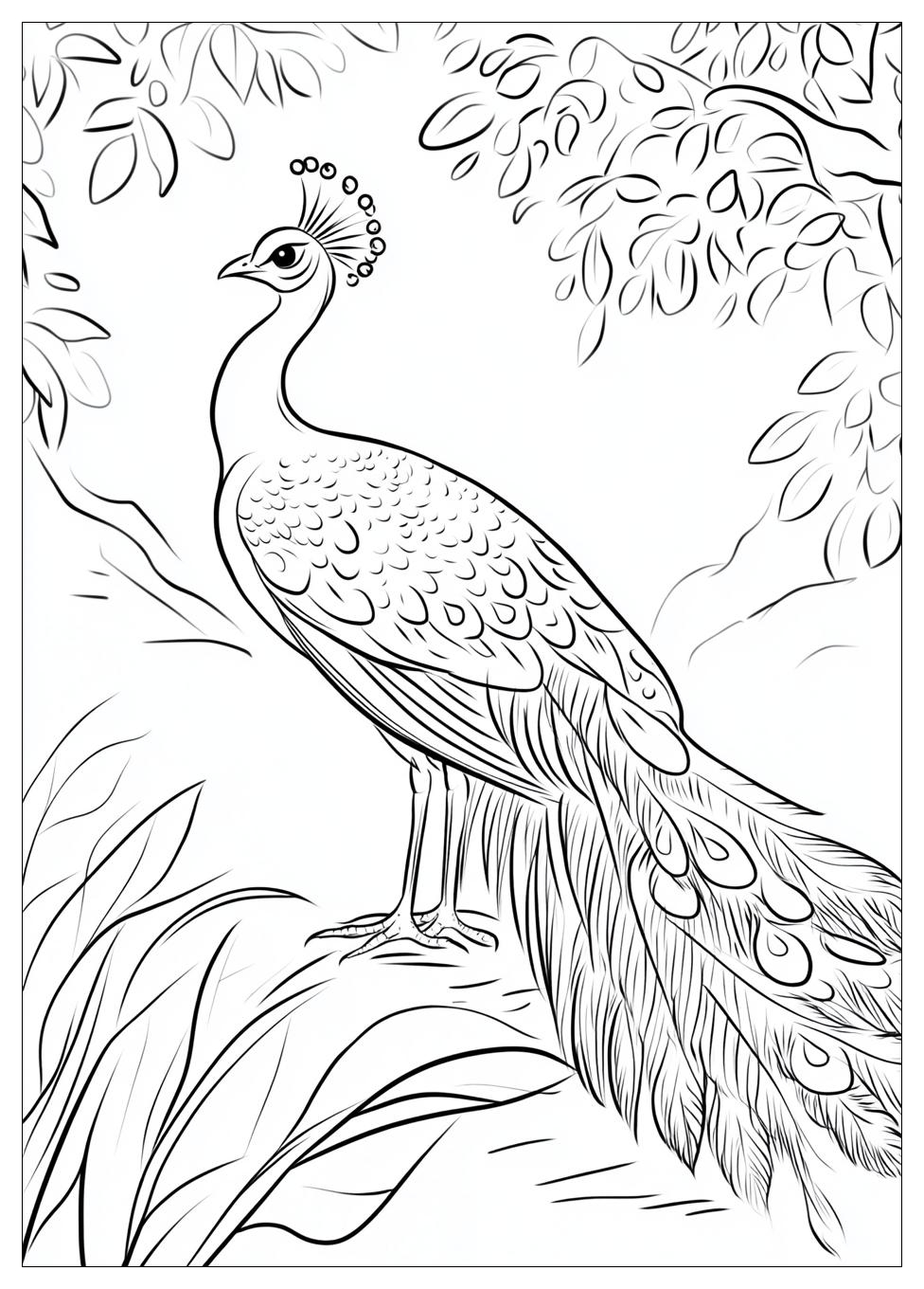 Pfau Ausmalbilder 8
