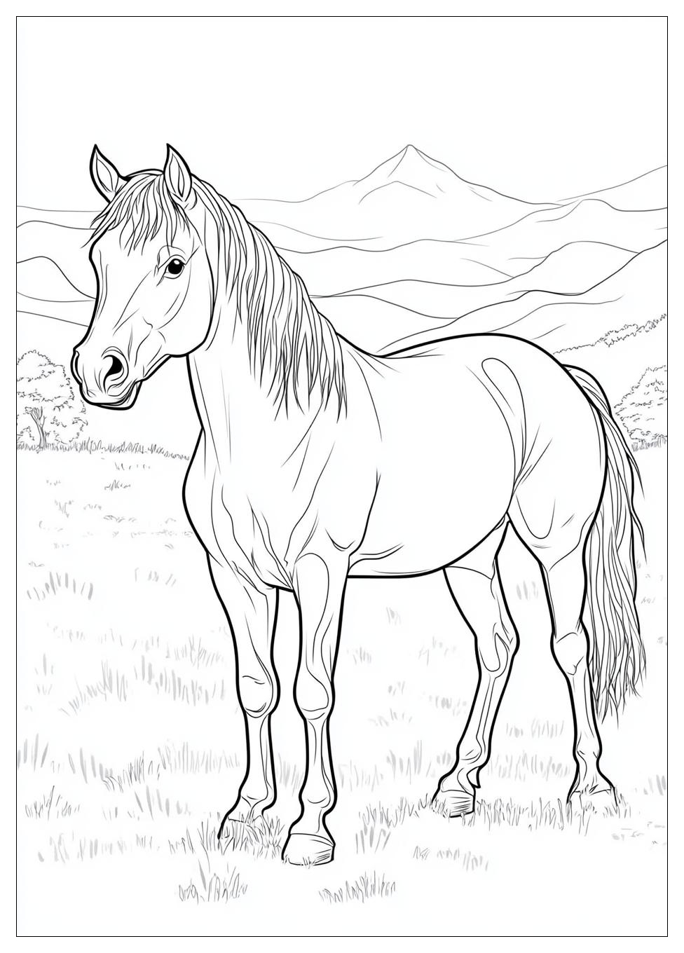 Pferd Ausmalbilder 5