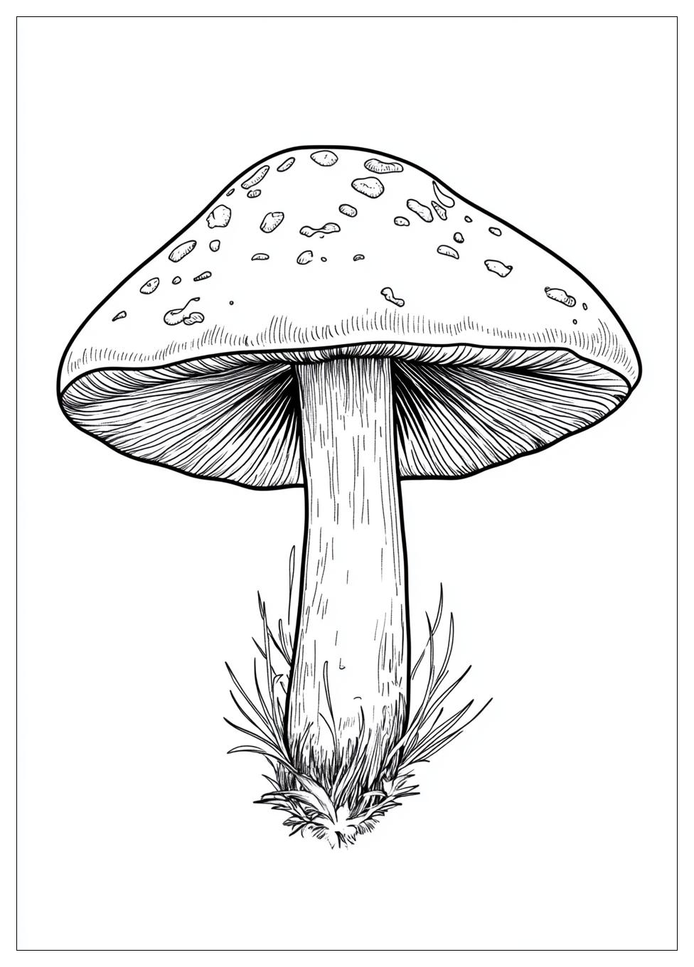 Pilz Ausmalbilder 21