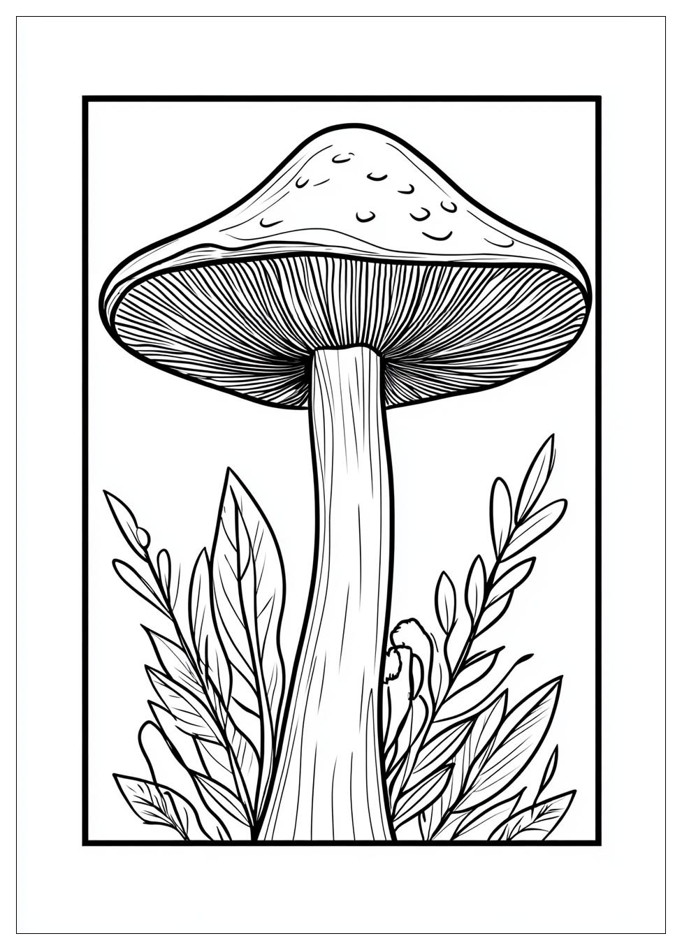 Pilz Ausmalbilder 8