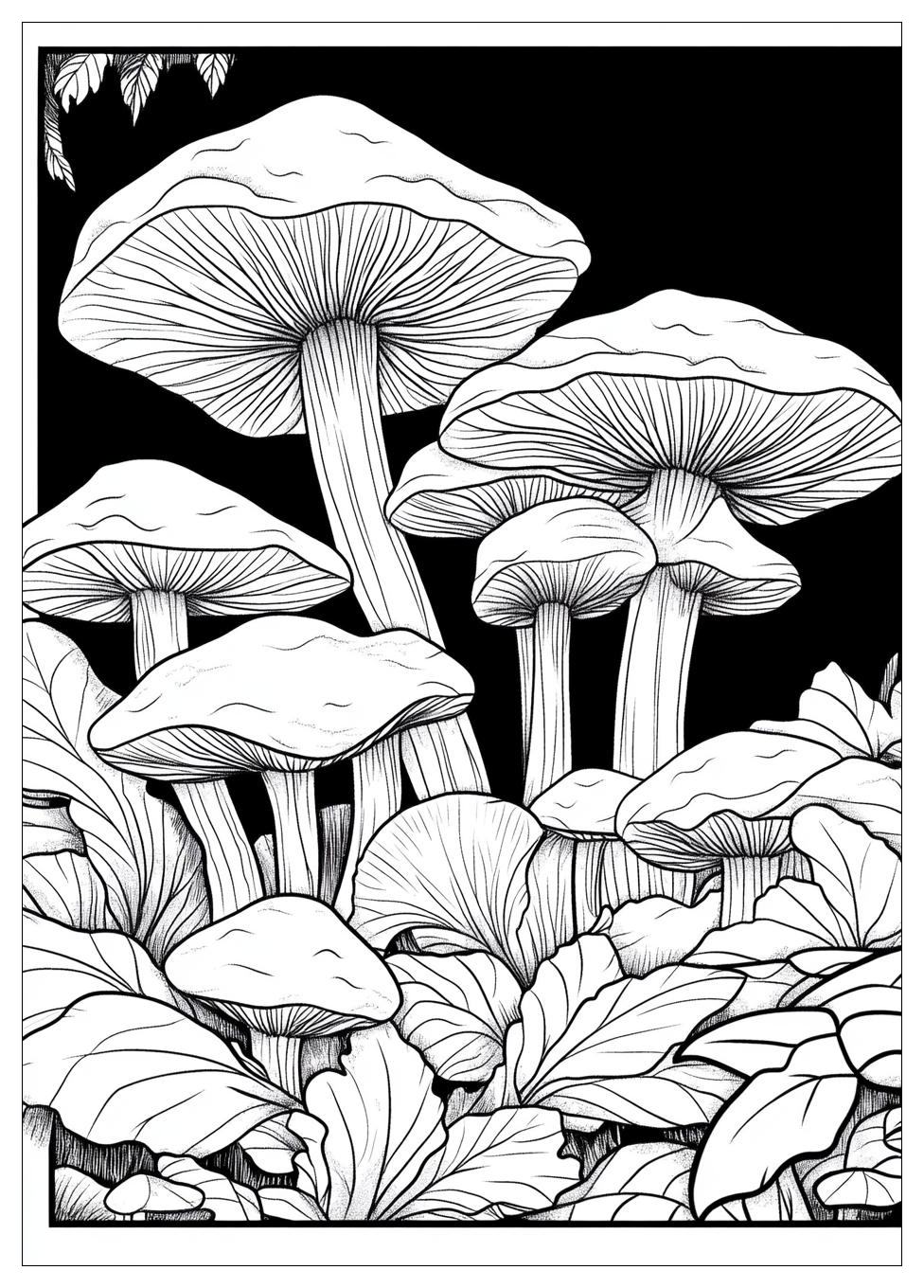 Pilze Ausmalbilder 16