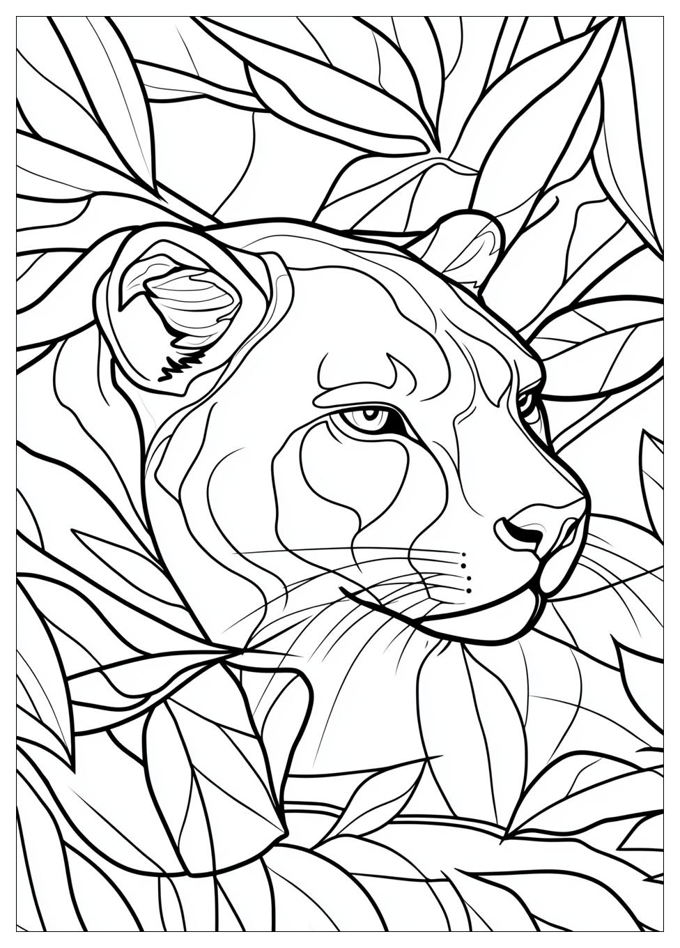 Puma Ausmalbilder 3