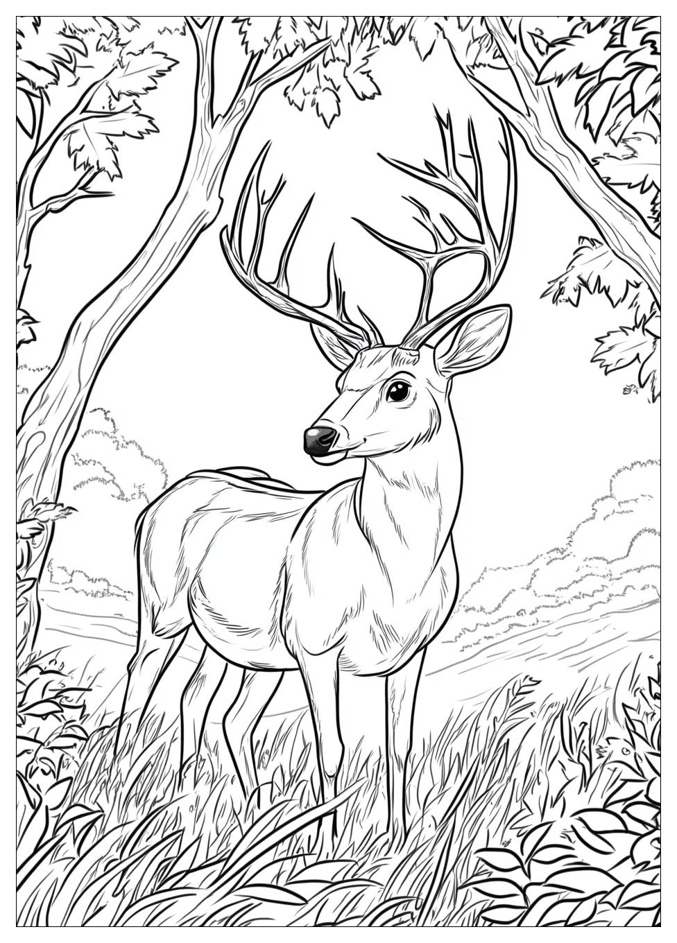 Rehe Ausmalbilder 11