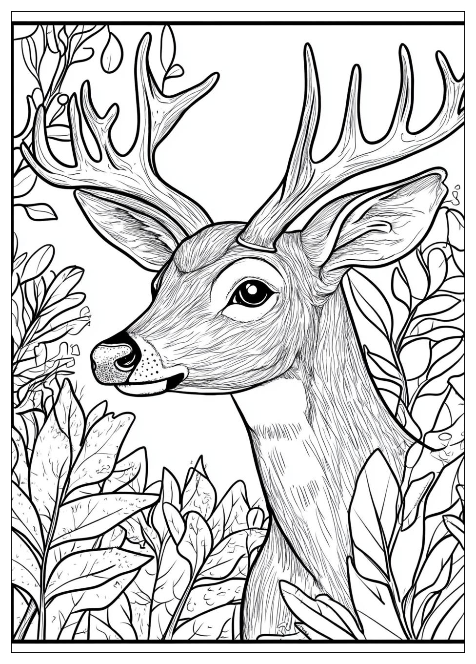 Rehe Ausmalbilder 12