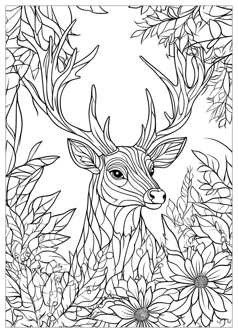 Rehe Ausmalbilder 13