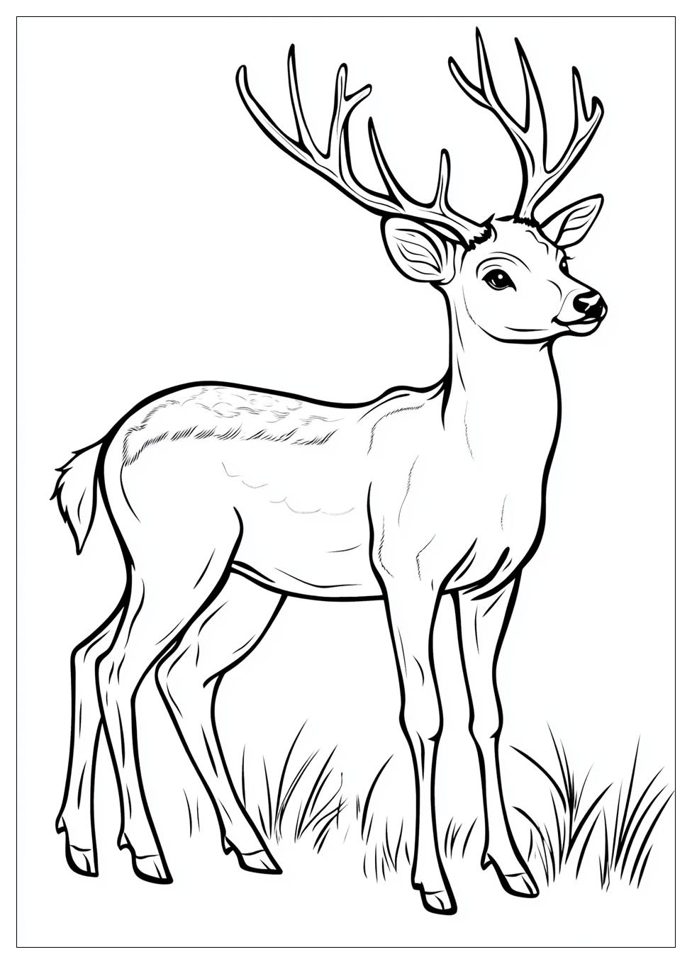 Rehe Ausmalbilder 14