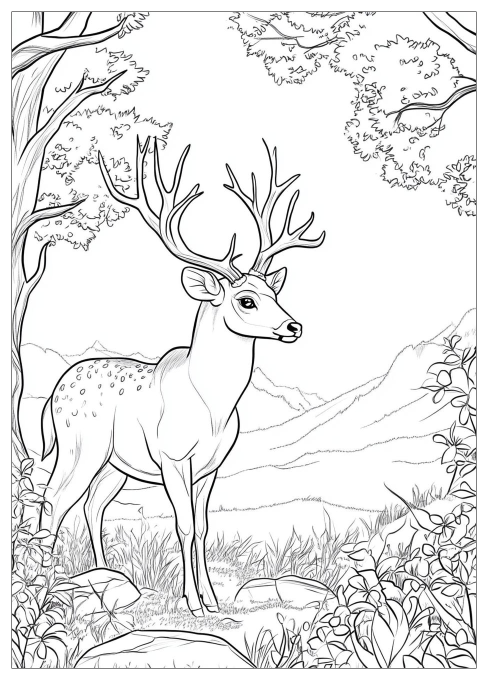 Rehe Ausmalbilder 16