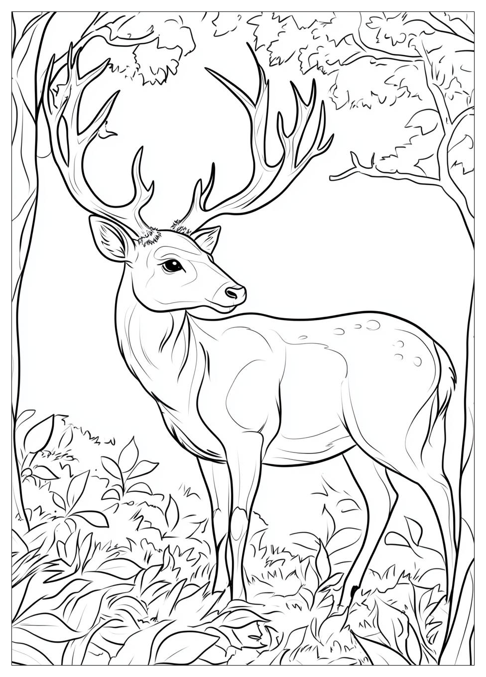 Rehe Ausmalbilder 18