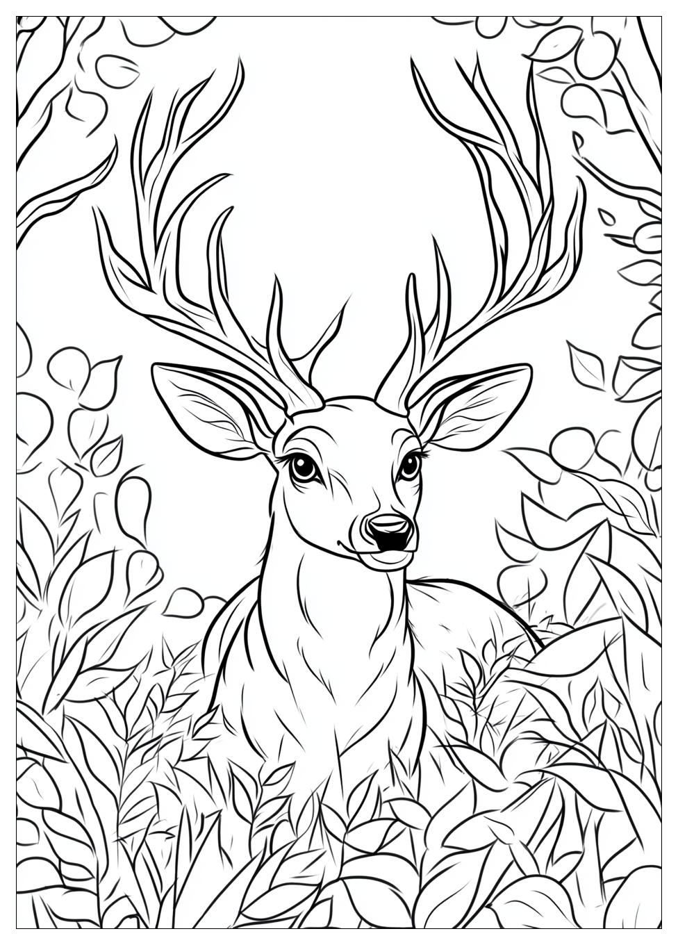 Rehe Ausmalbilder 2