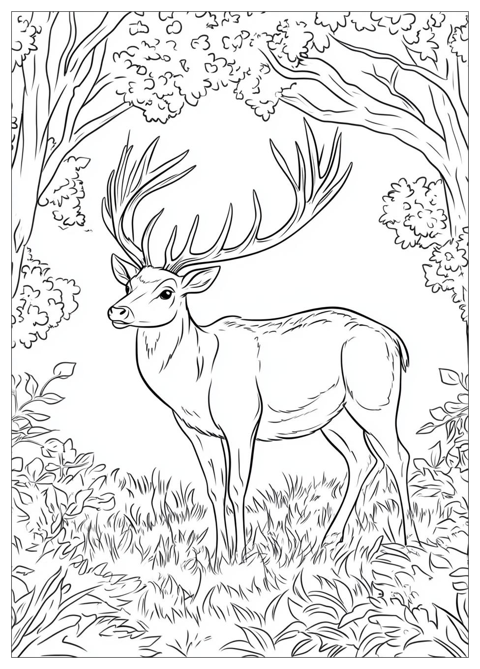 Rehe Ausmalbilder 20