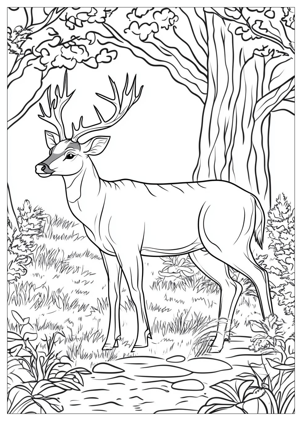 Rehe Ausmalbilder 22