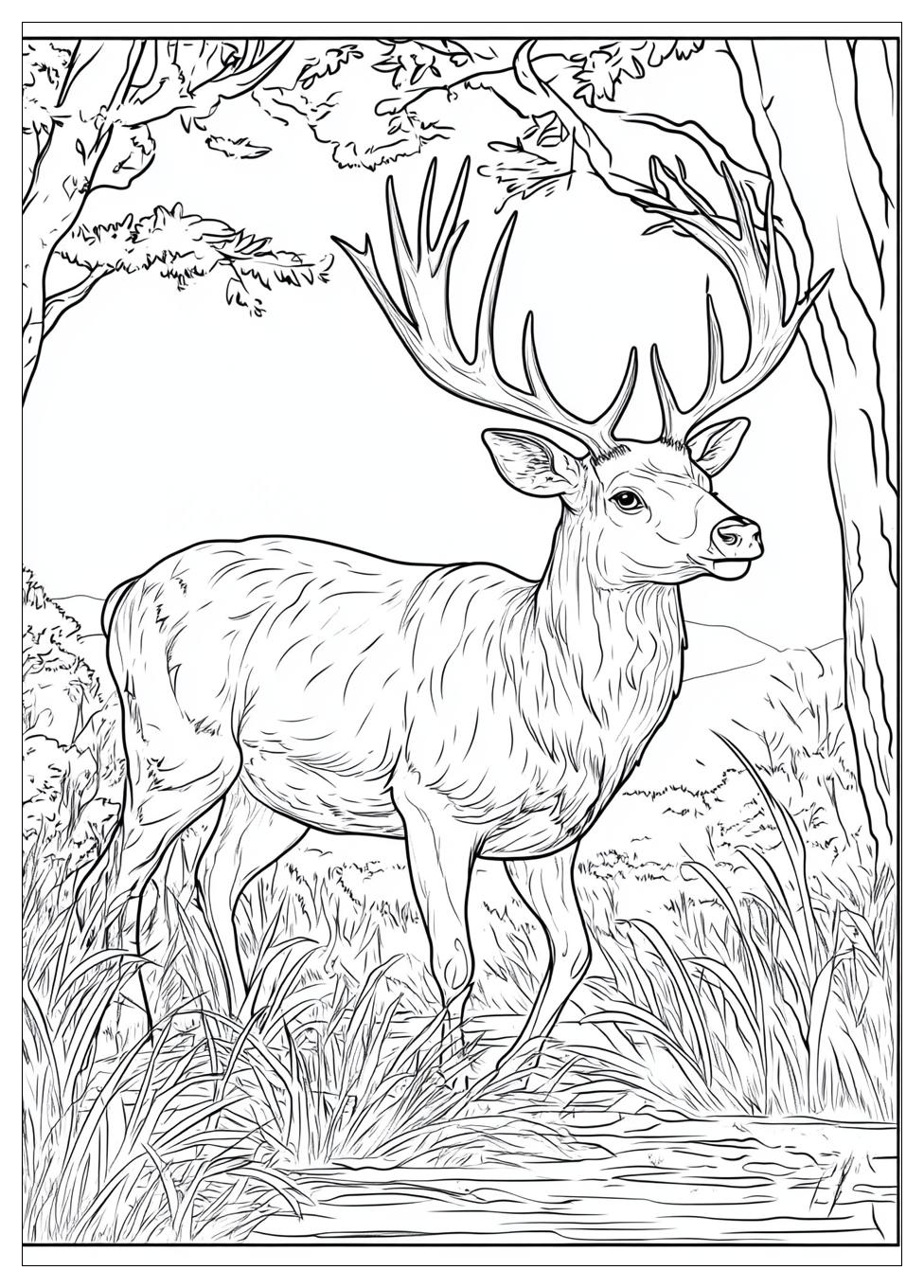 Rehe Ausmalbilder 23
