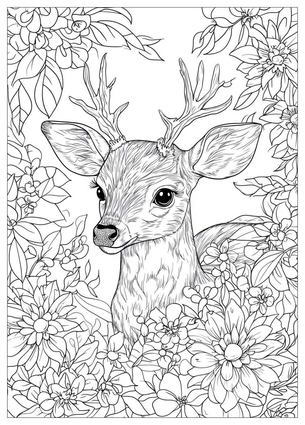 Rehe Ausmalbilder 24