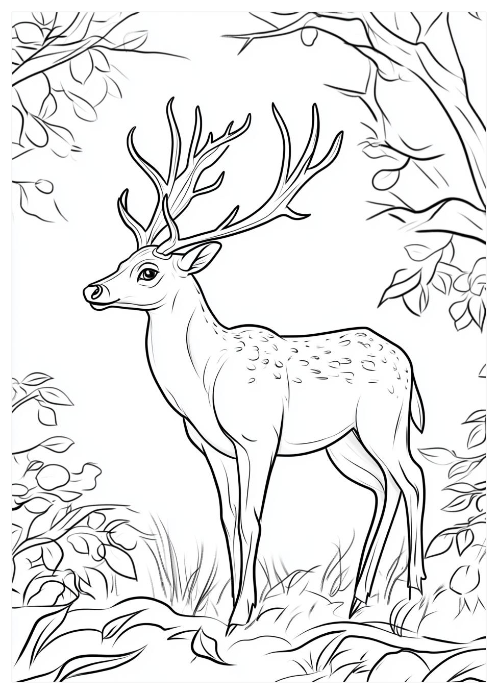 Rehe Ausmalbilder 3