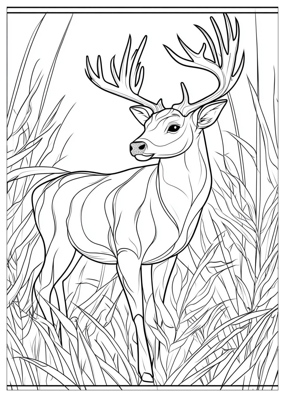 Rehe Ausmalbilder 4