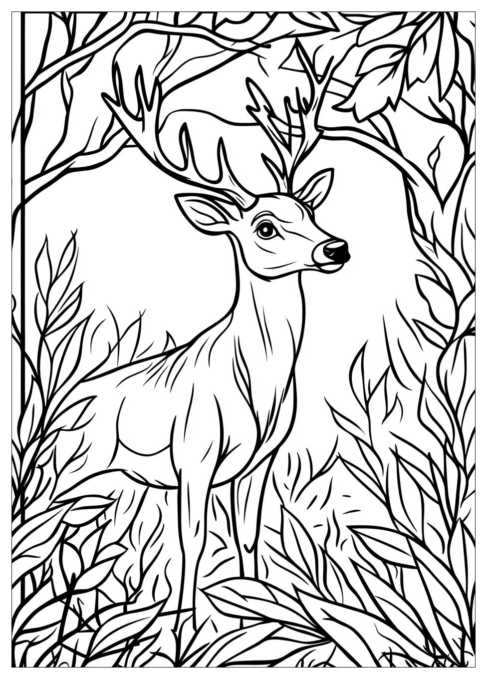 Rehe Ausmalbilder 7