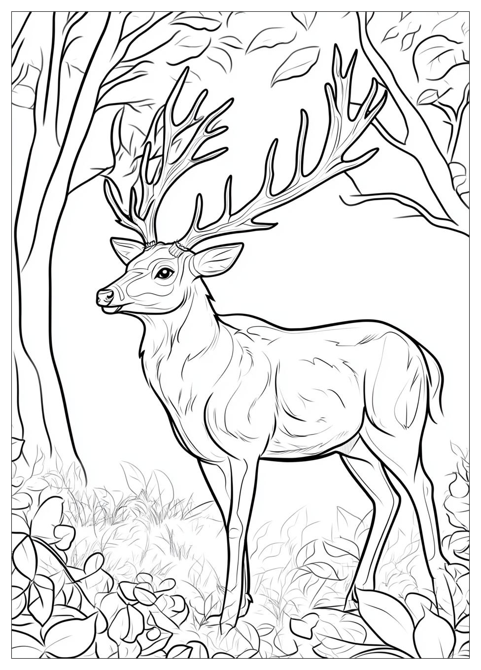 Rehe Ausmalbilder 8