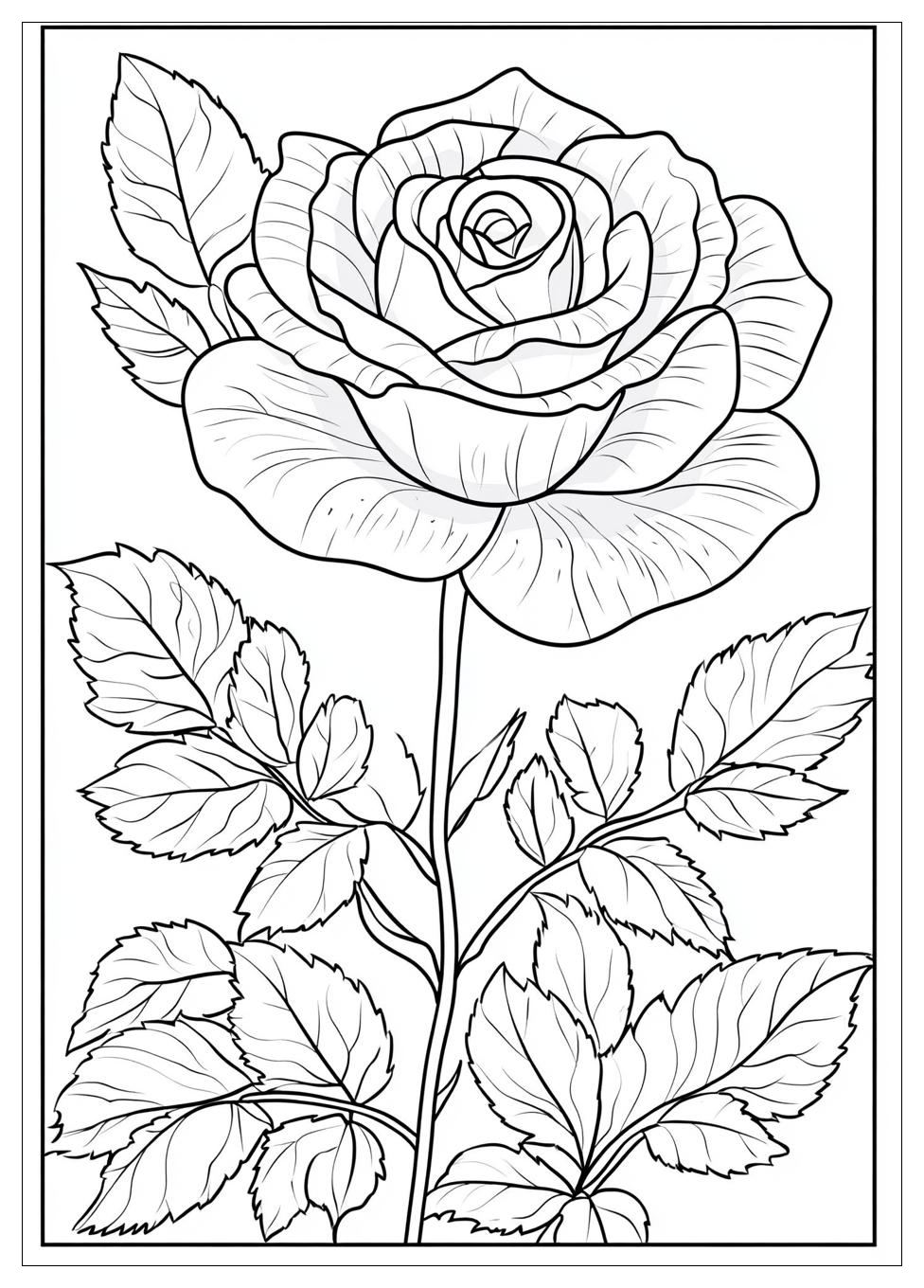 Rose Ausmalbilder 18