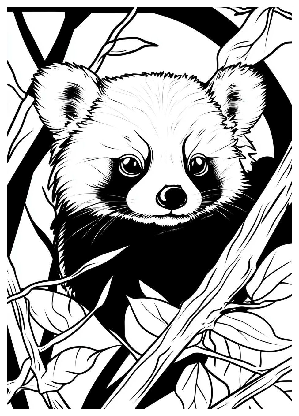 Roter Panda Ausmalbilder 9