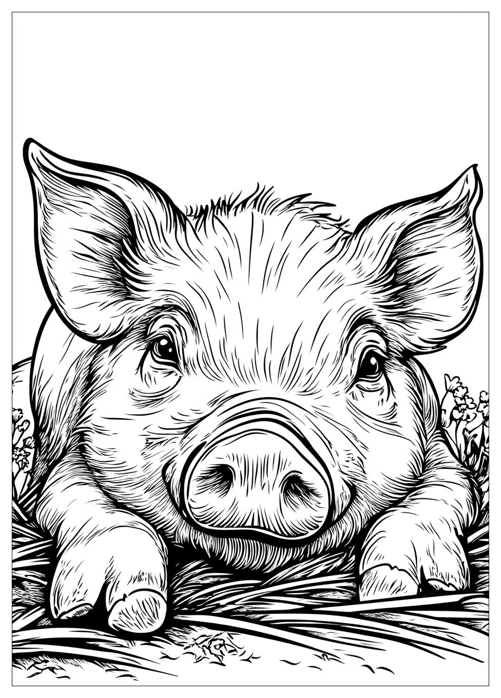 Schwein Ausmalbilder 3