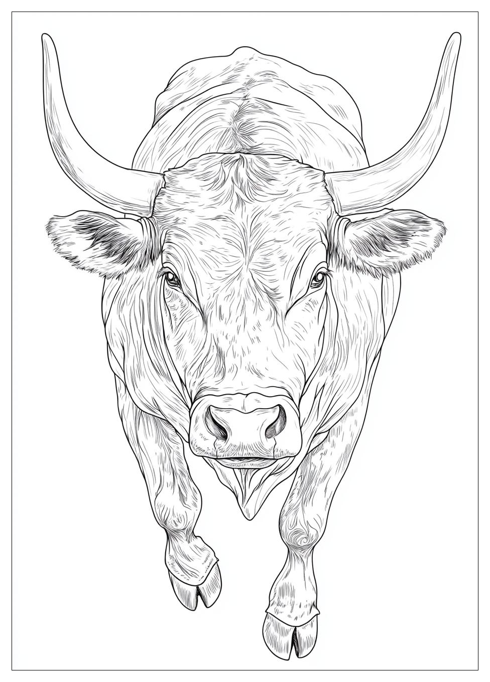 Stier Ausmalbilder 13