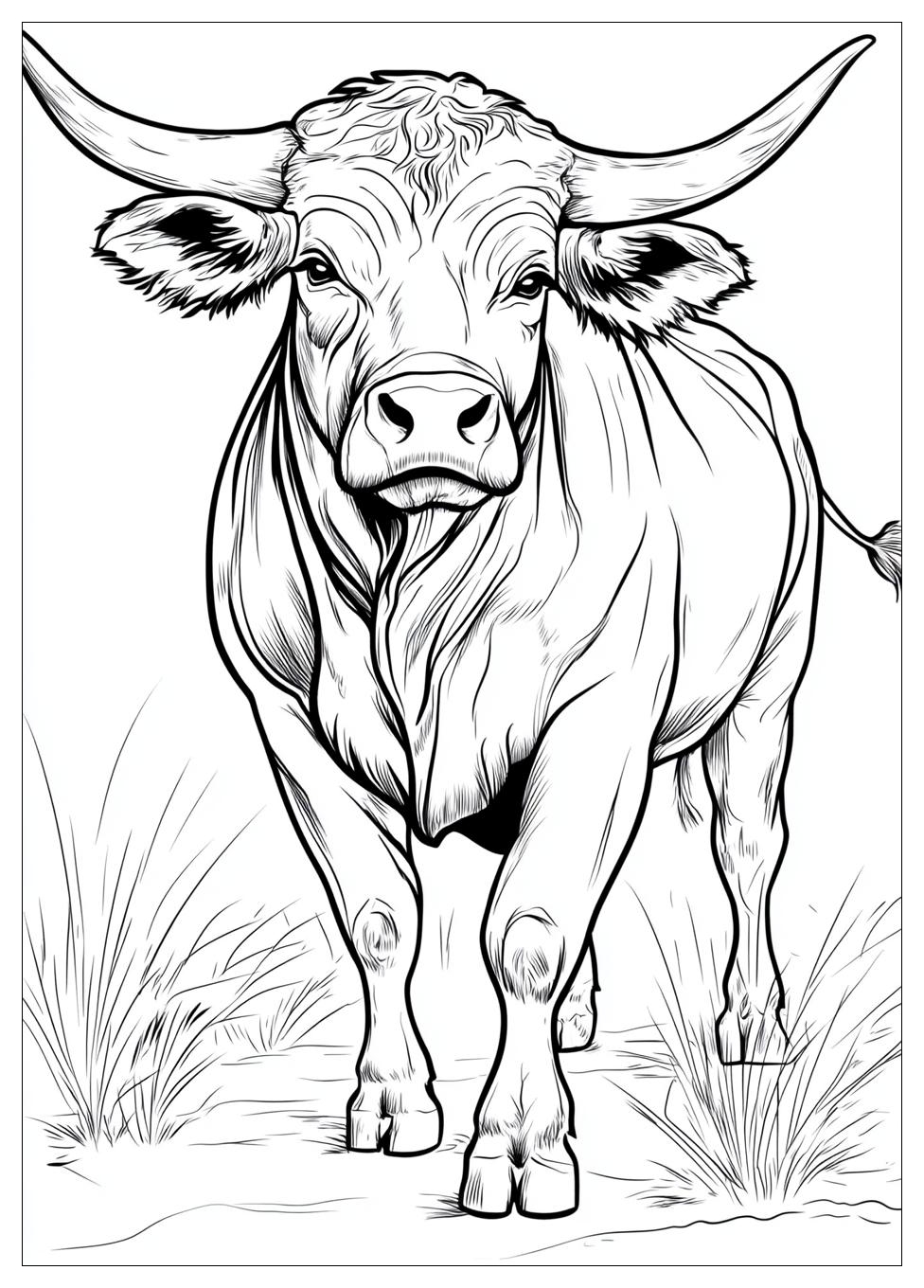 Stier Ausmalbilder 18