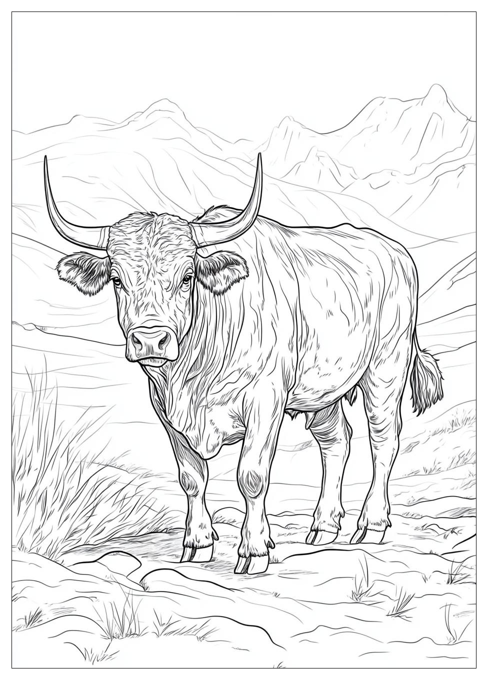Stier Ausmalbilder 19