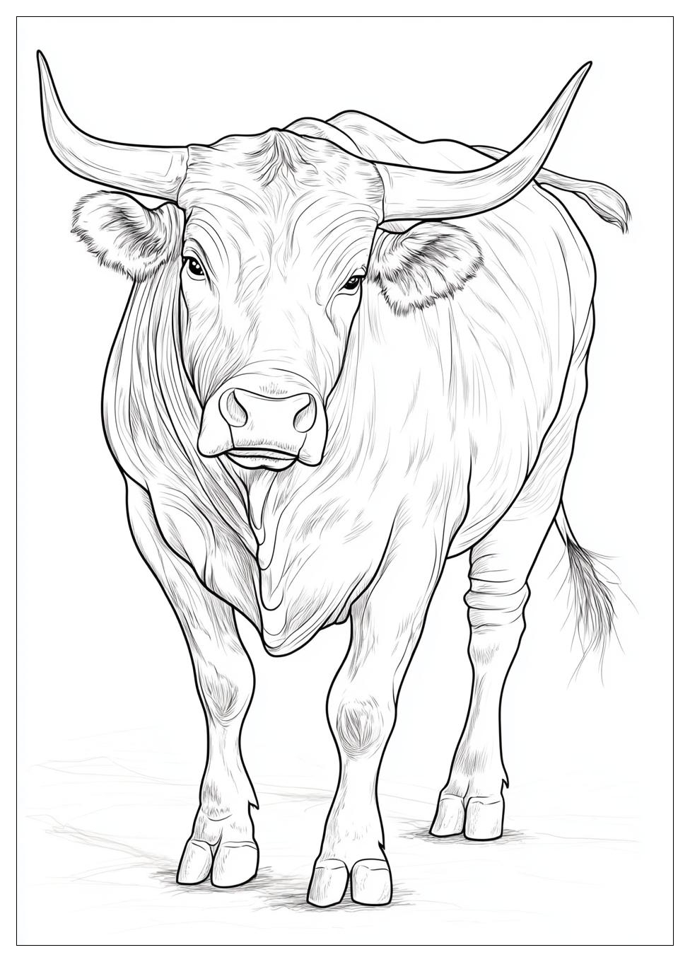 Stier Ausmalbilder 20