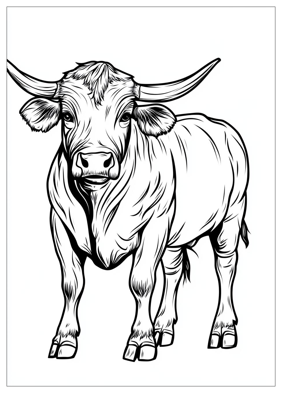 Stier Ausmalbilder 22