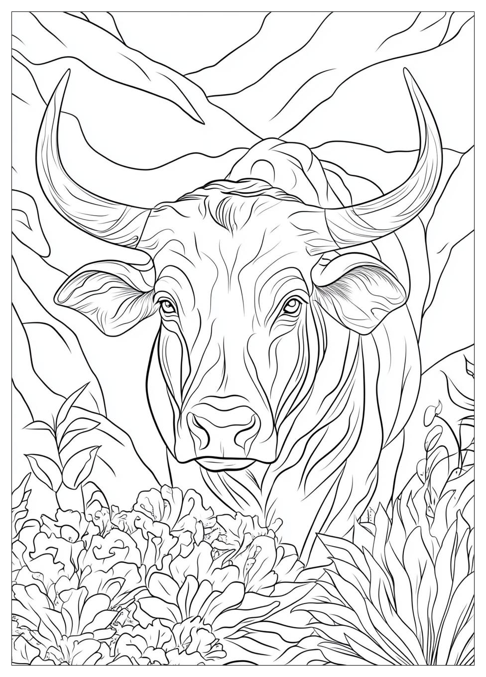 Stier Ausmalbilder 24