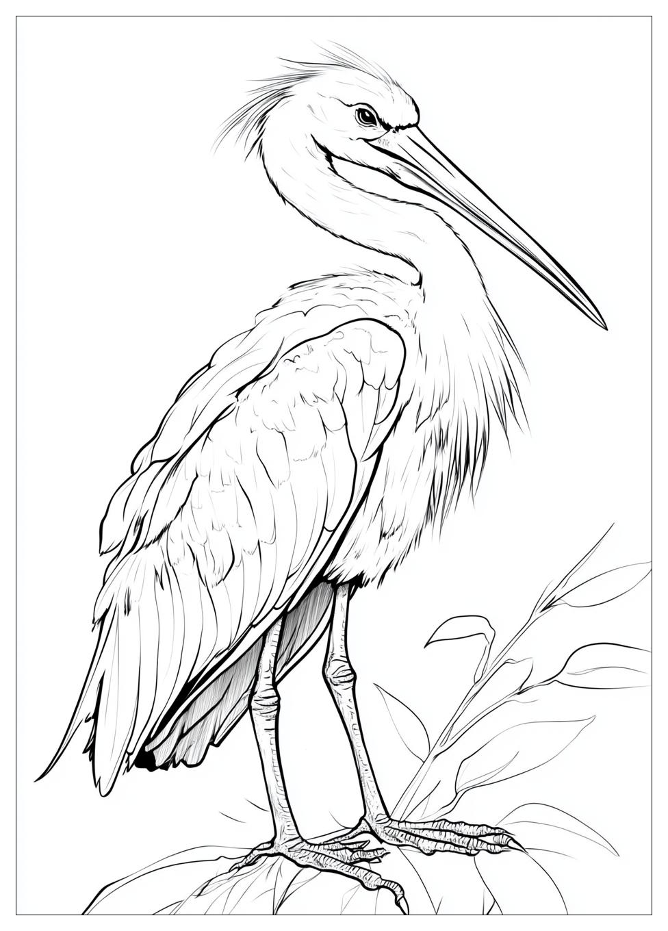 Storch Ausmalbilder 13
