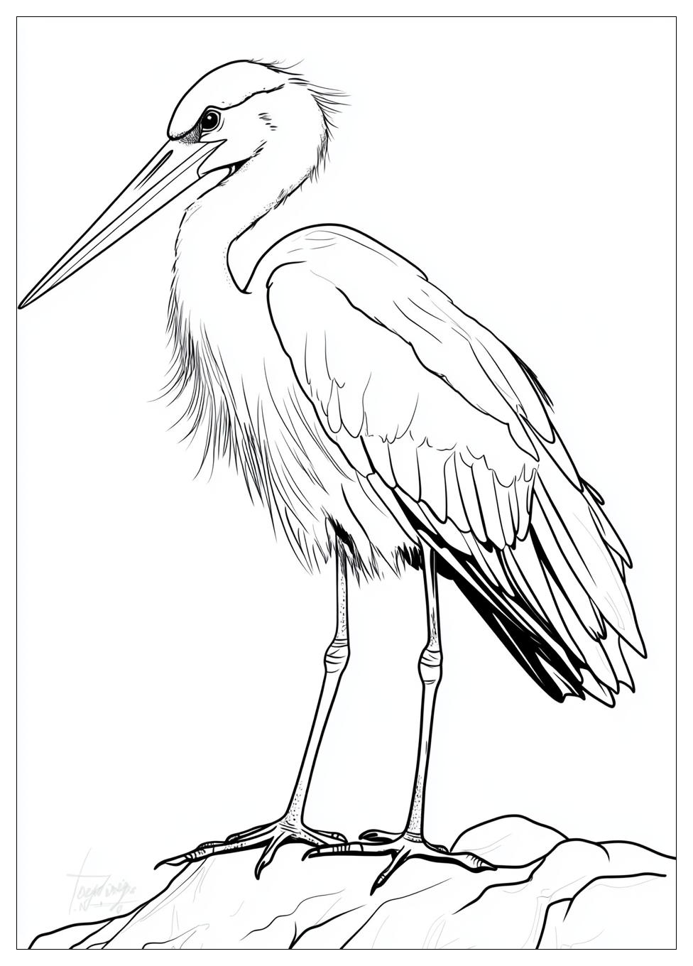 Storch Ausmalbilder 14