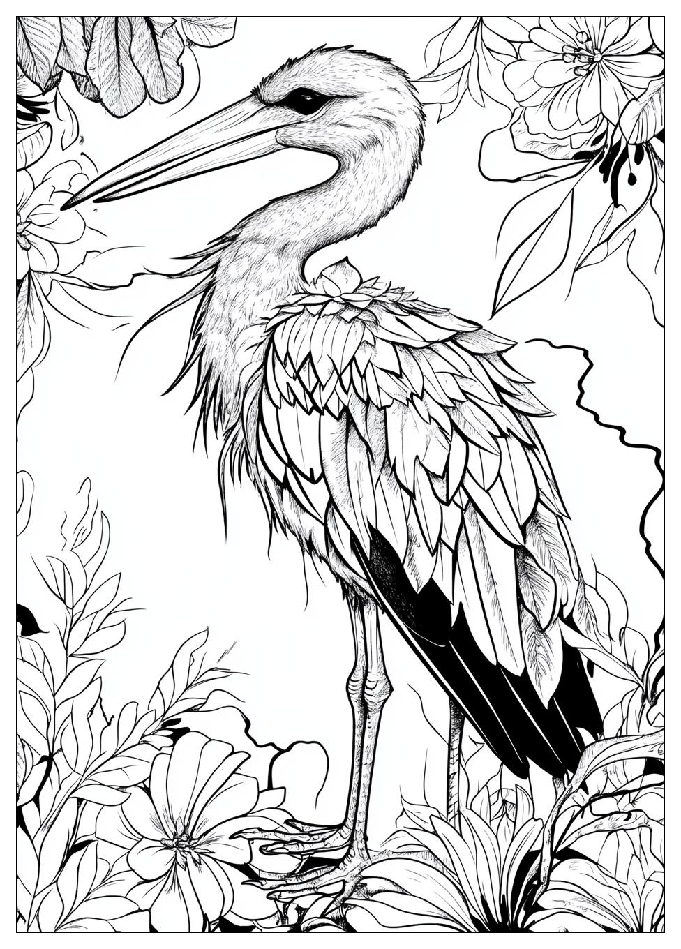 Storch Ausmalbilder 2