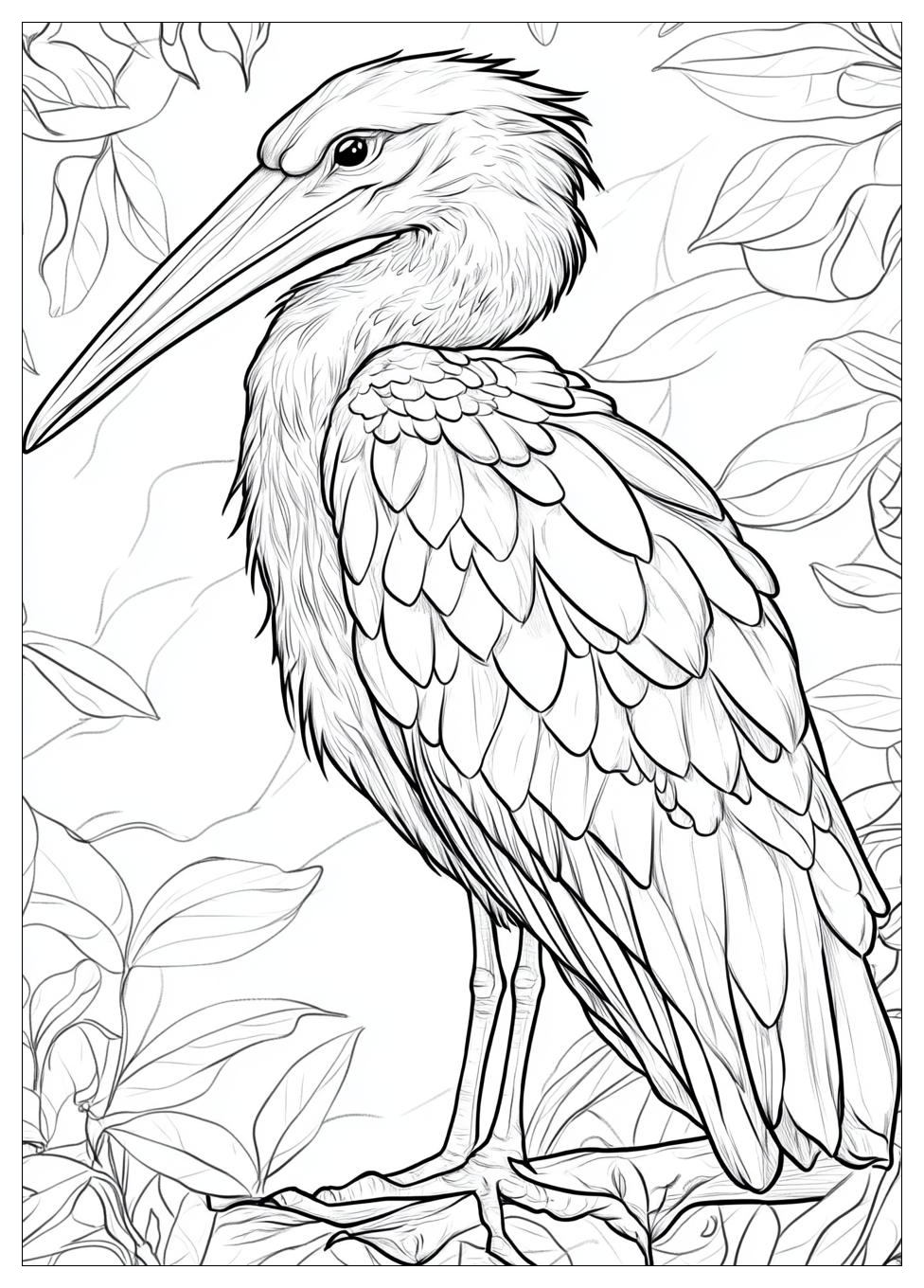 Storch Ausmalbilder 23
