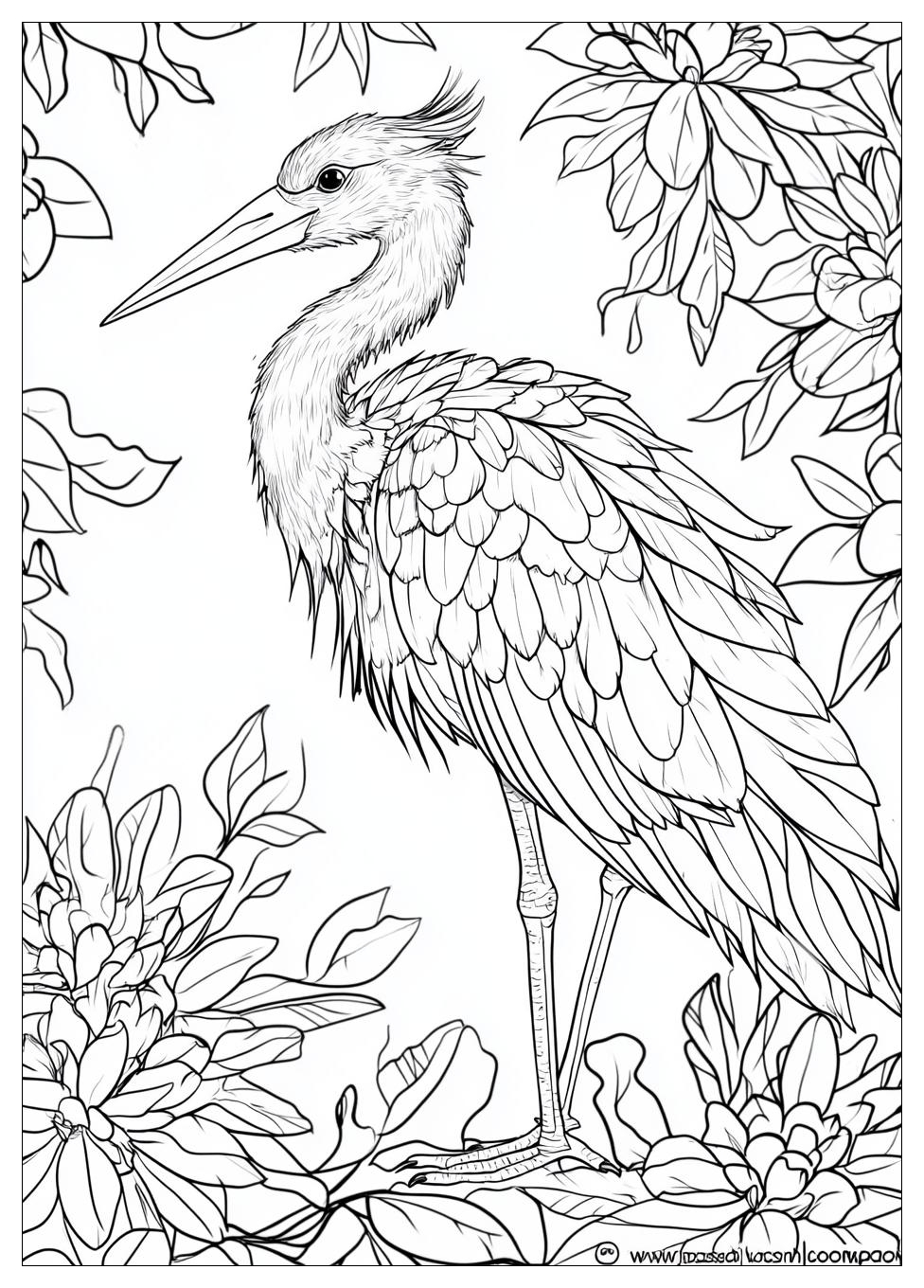 Storch Ausmalbilder 24