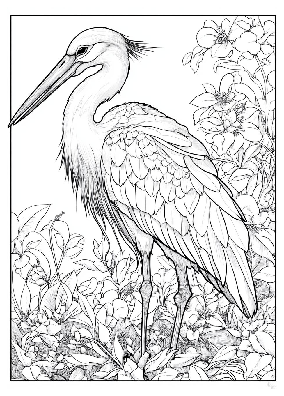 Storch Ausmalbilder 7