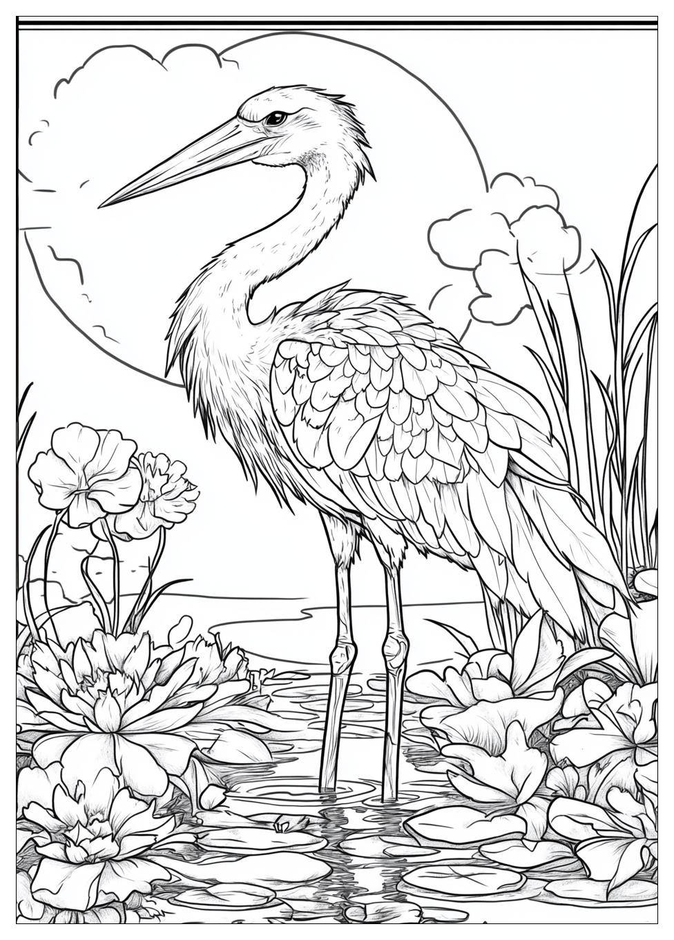 Storch Ausmalbilder 9