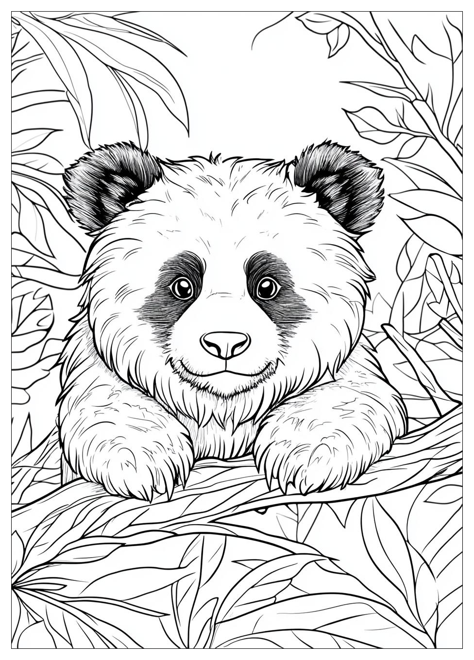 Süße Panda Ausmalbilder 1